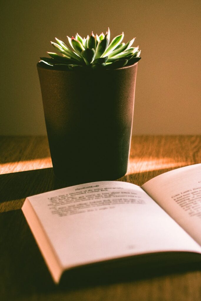 pexels-photo-1036372-1036372 A sunlit scene highlighting a succulent plant and an open book on a wooden table.